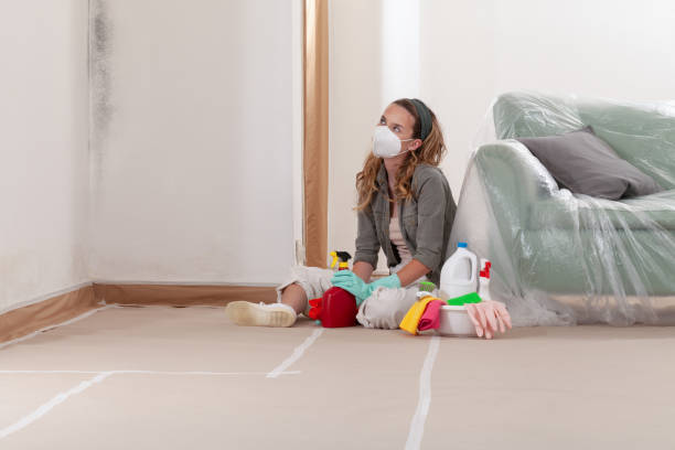 Reliable Mold Remediation contractor in Cedar Knolls, NJ by WQB Mold Removal